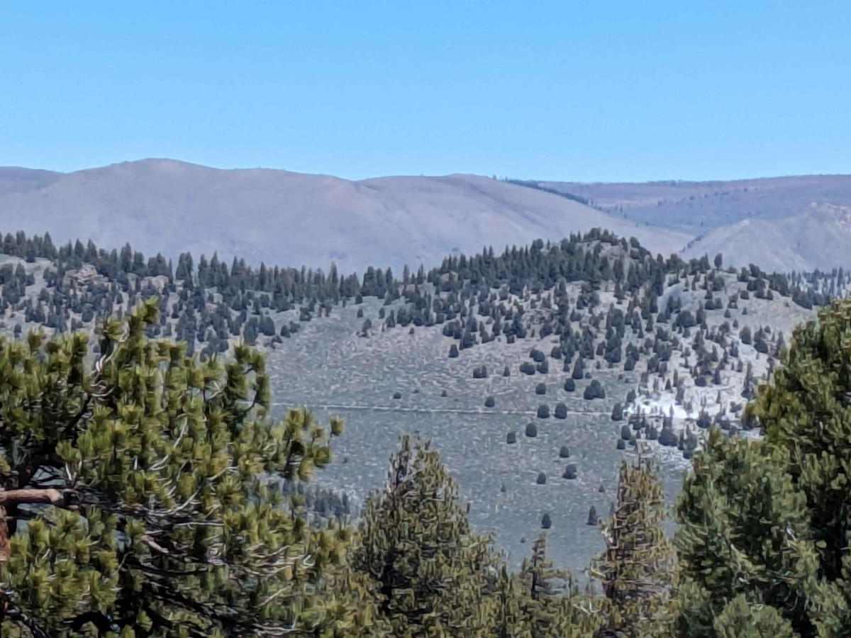 395 Overlook photo 3