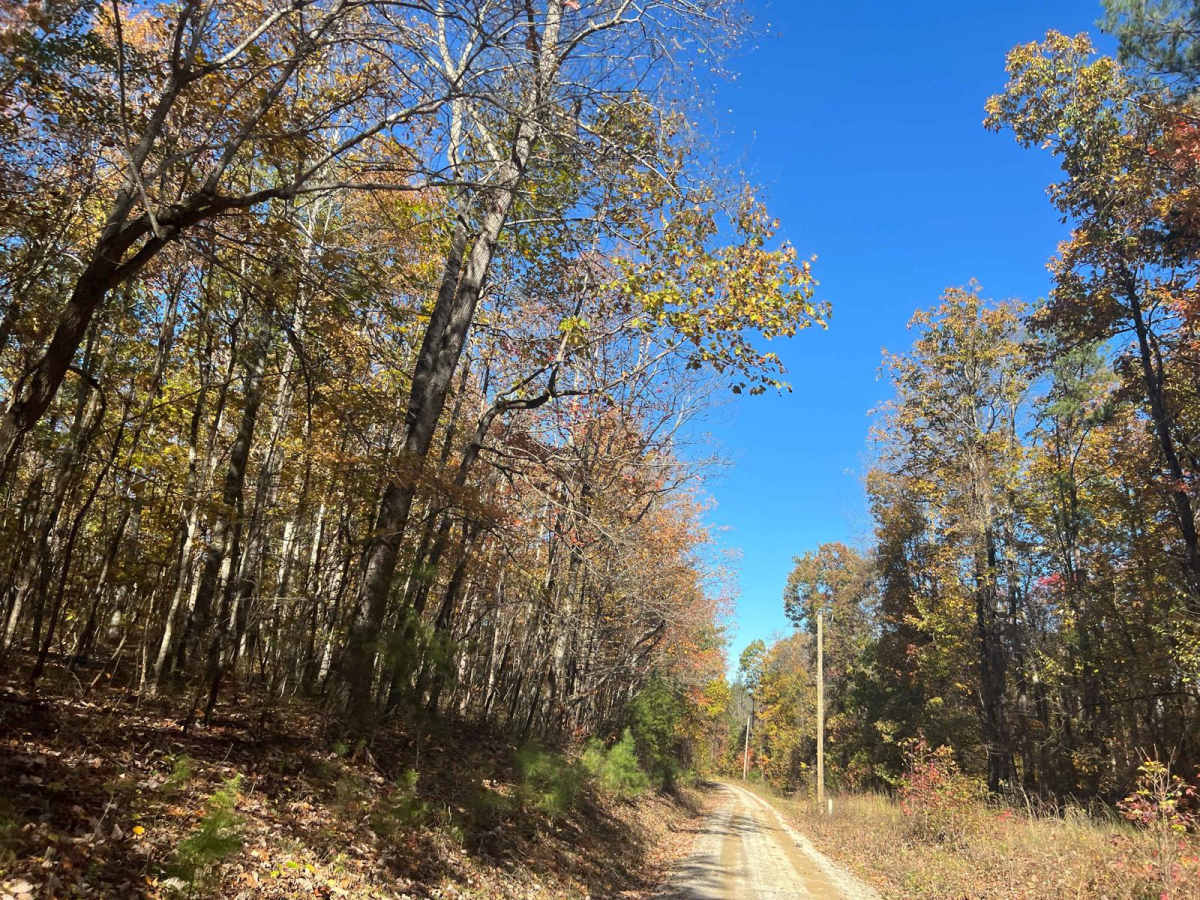 County Road 198 - FS272 trail photo