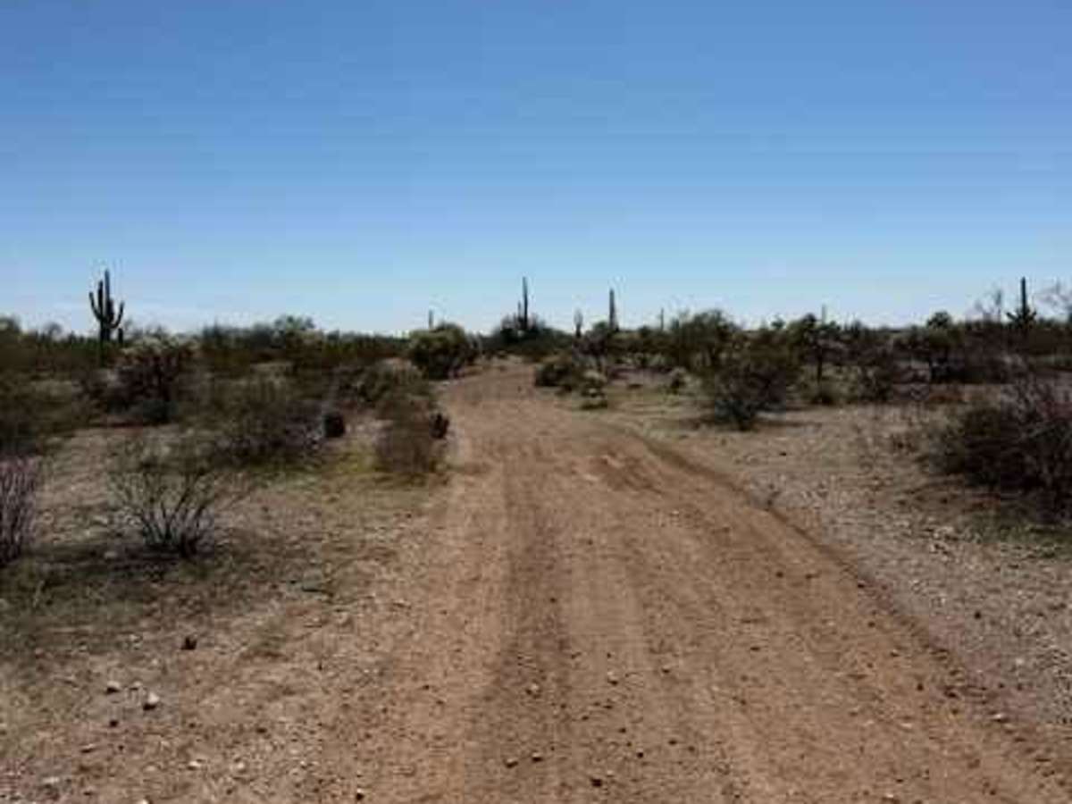 Nw2233 photo 3