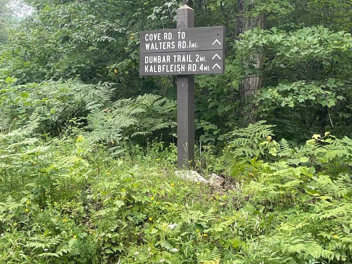 Cove Road trail photo