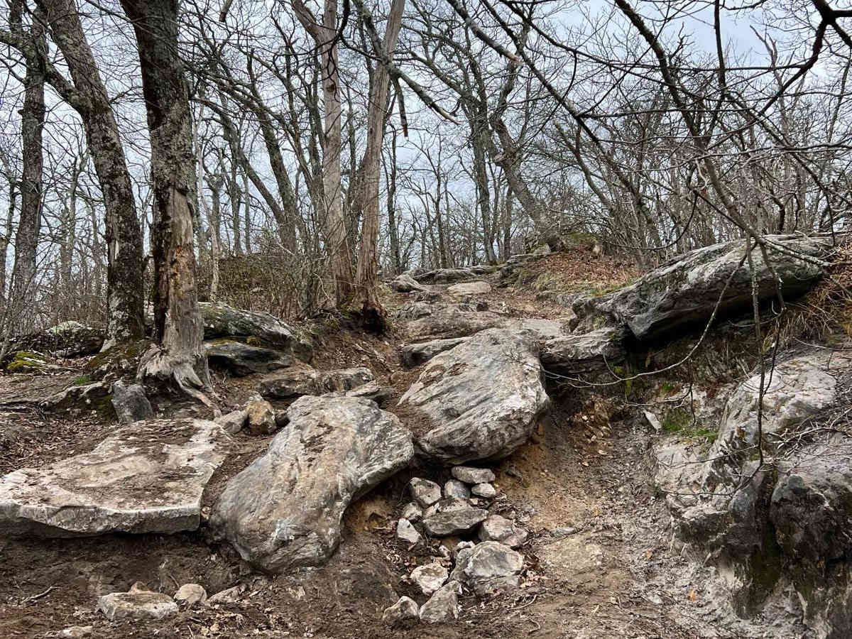 Potts Mountain Jeep Trail photo 5