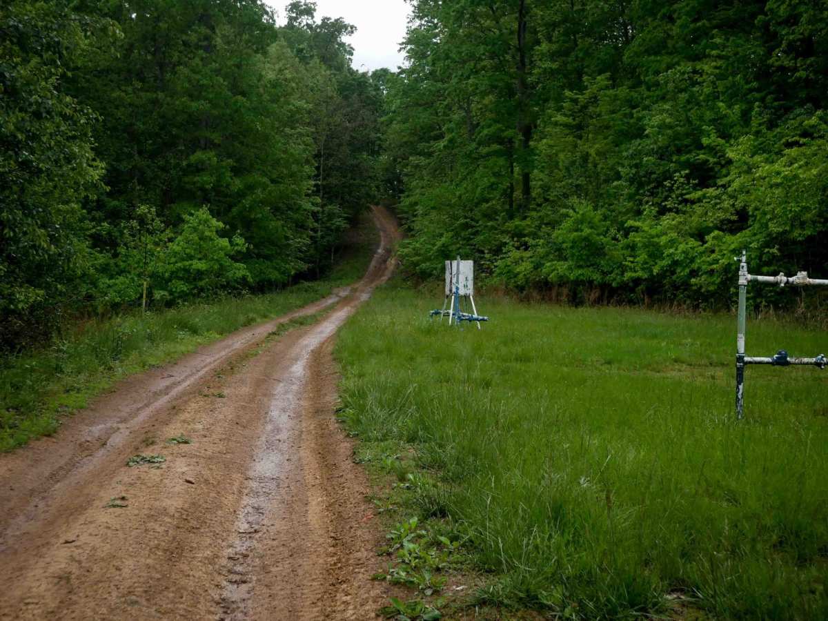 IB 56 photo 4