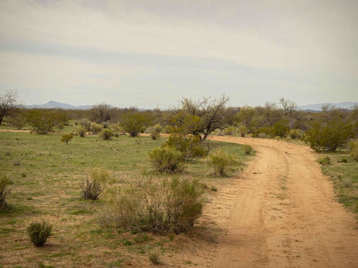 Southern Stroll photo 6