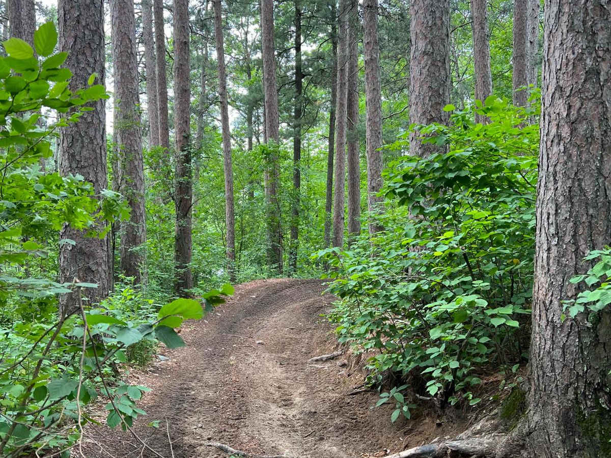 Round River Drive Western Loop Cut Through photo 6