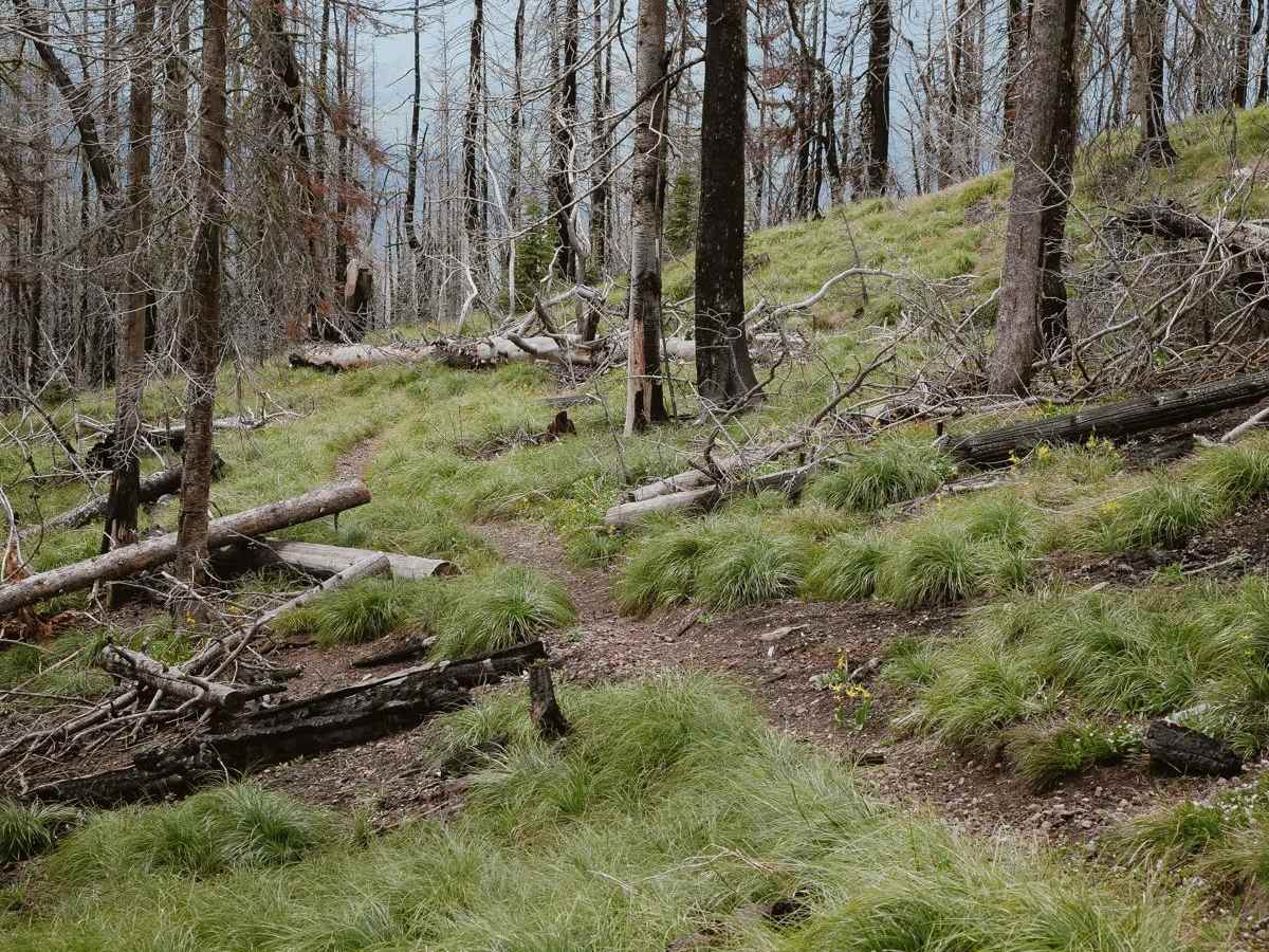 Three Mile Ridge photo 3