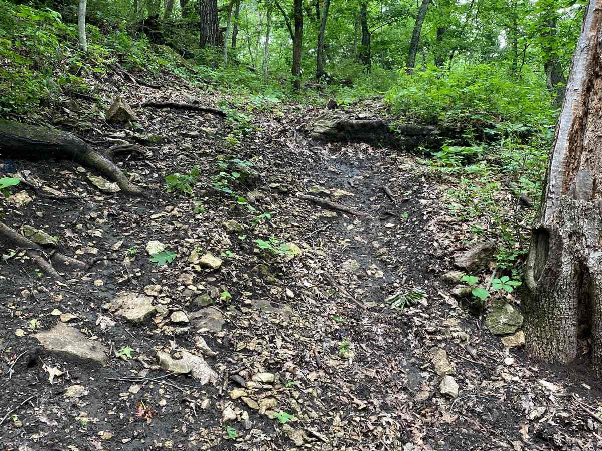 Vader trail photo
