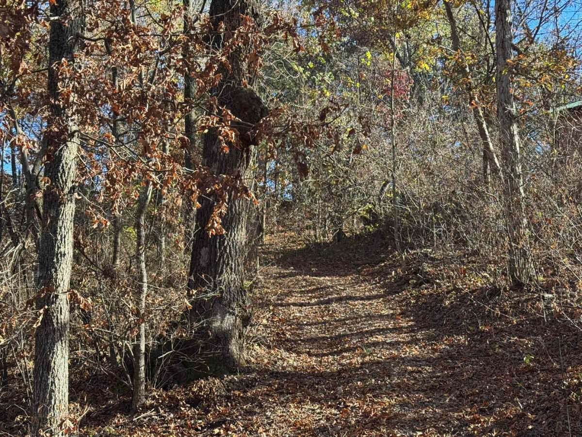 Green 139 photo 2