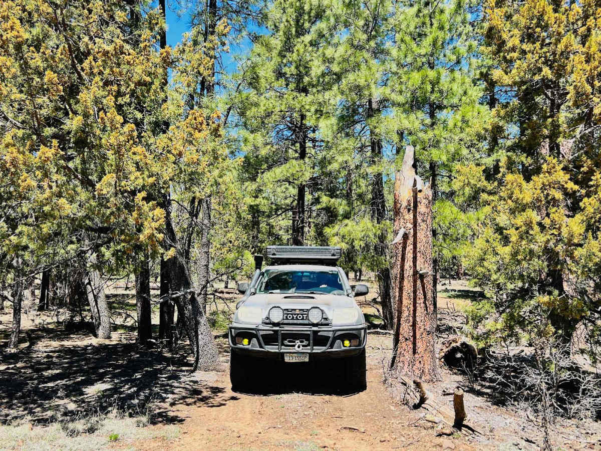 FR-9353F photo 3