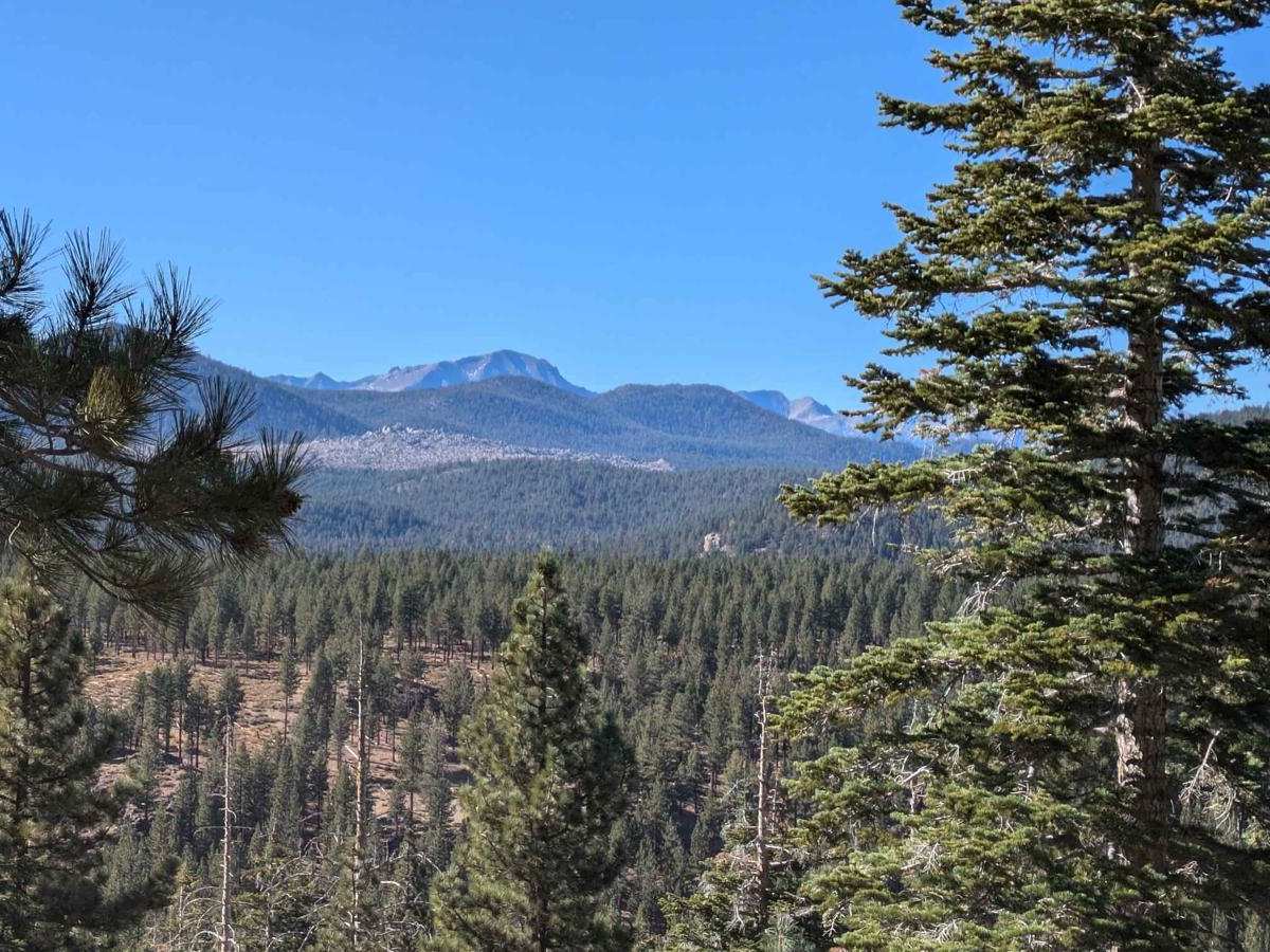 Lookout Mountain Bypass - FS2S88 trail photo