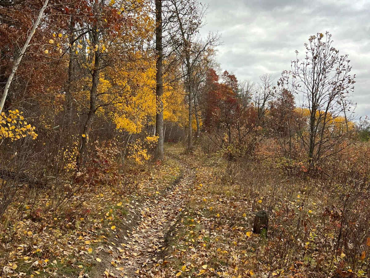 Circle Farm Trail photo 3