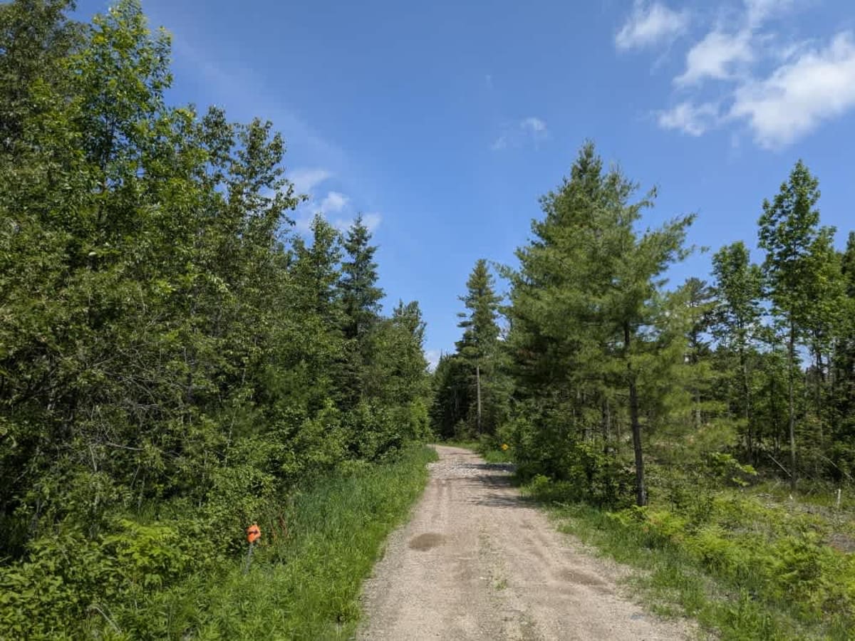 2671 trail photo