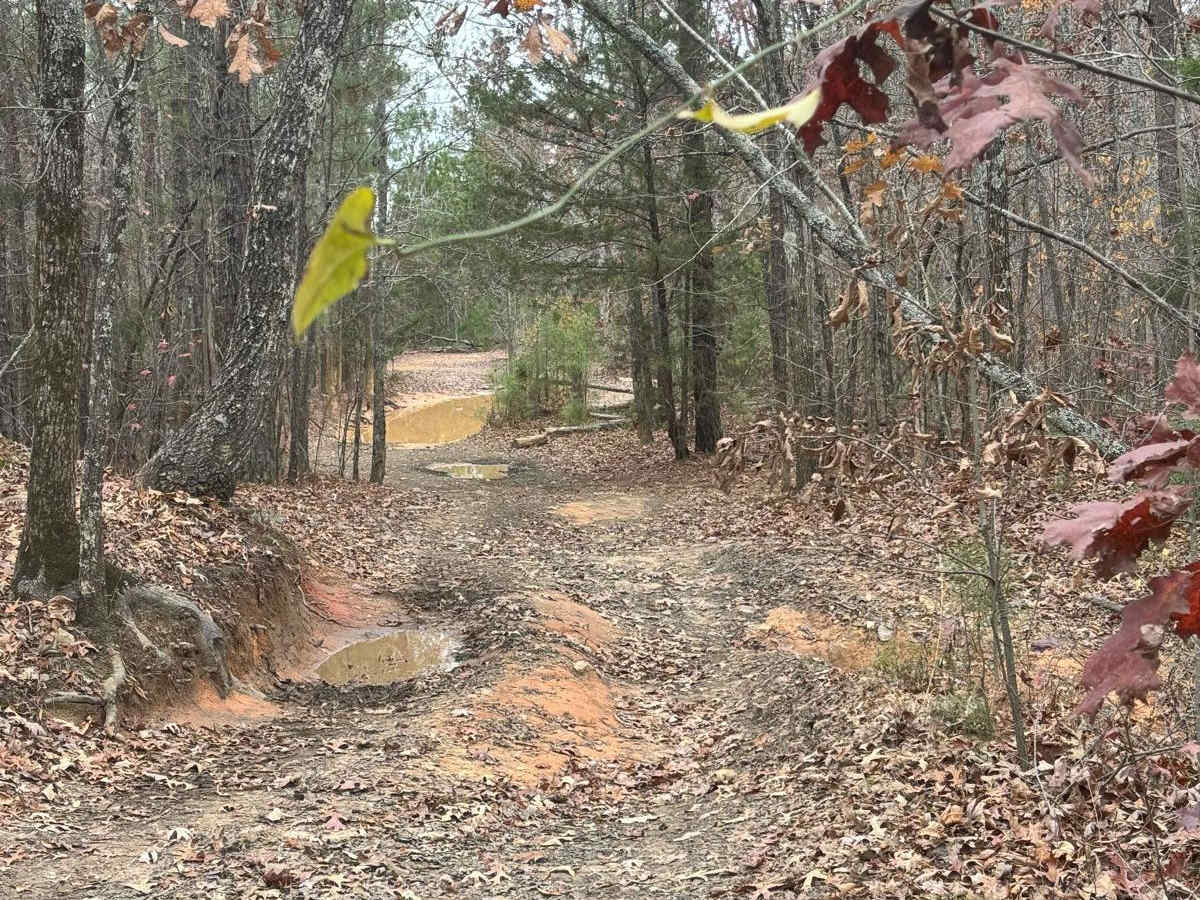 24 trail photo