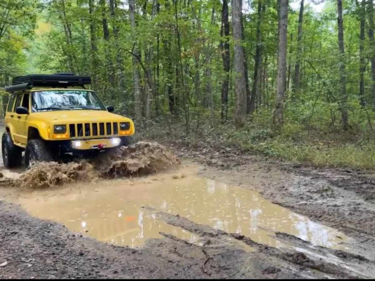 Have a Piclic trail photo