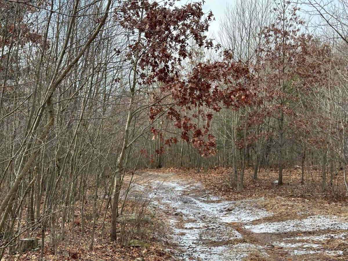 Blue Climbs trail photo
