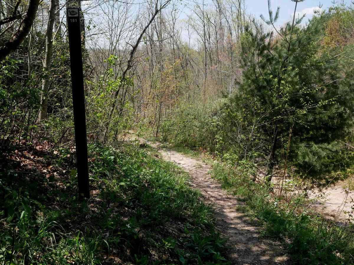P181 photo 4