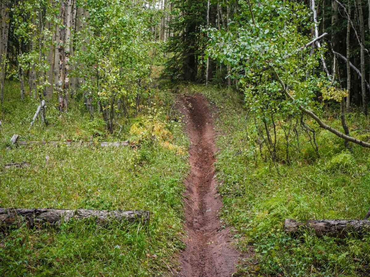 Hunters Creek Trail photo 3