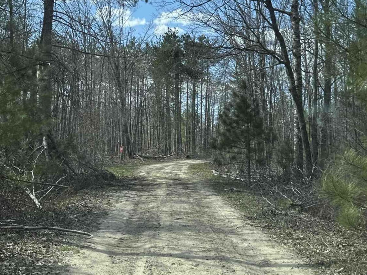 FS 4464 photo 6