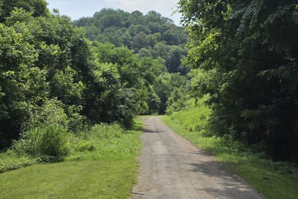 Dry Branch to Dixon Creek Road - Macon County Tour