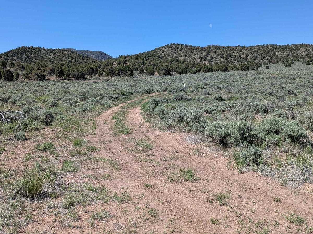 BLM 30228 trail photo