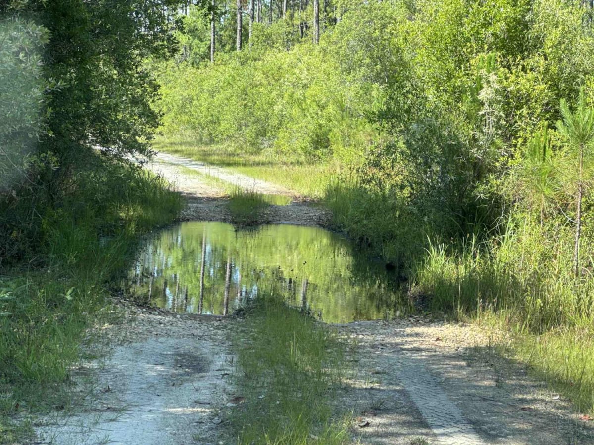 Deep Creek Loop trail photo