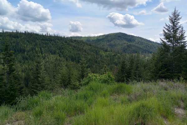 Thompson Creek
