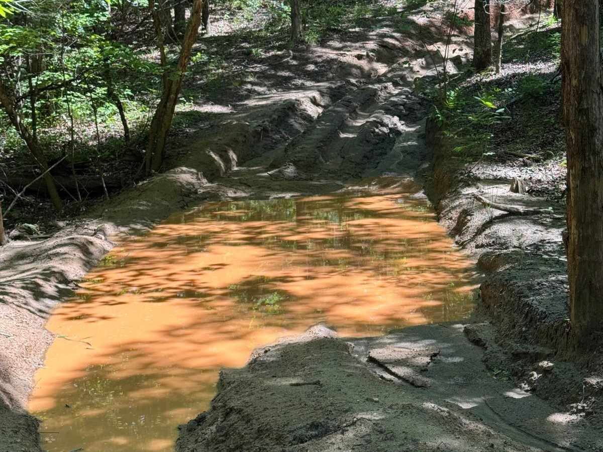 Clemson Detour photo 3