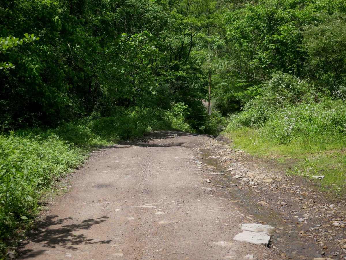 B23 trail photo