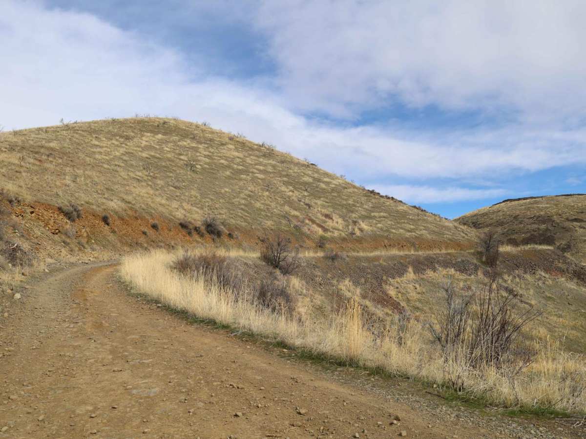 Durr Road to Umtanum Creek Camp photo 3