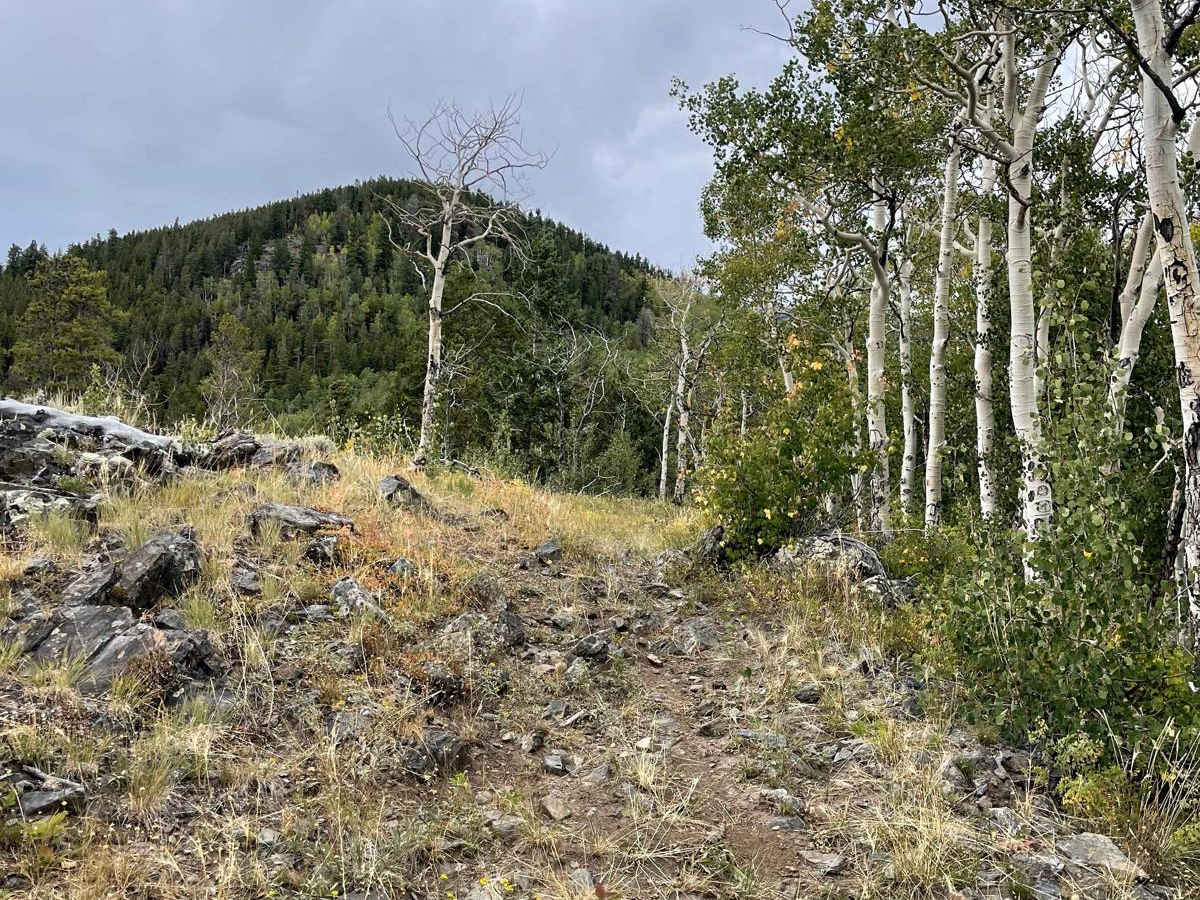 Willow Mine Trail trail photo