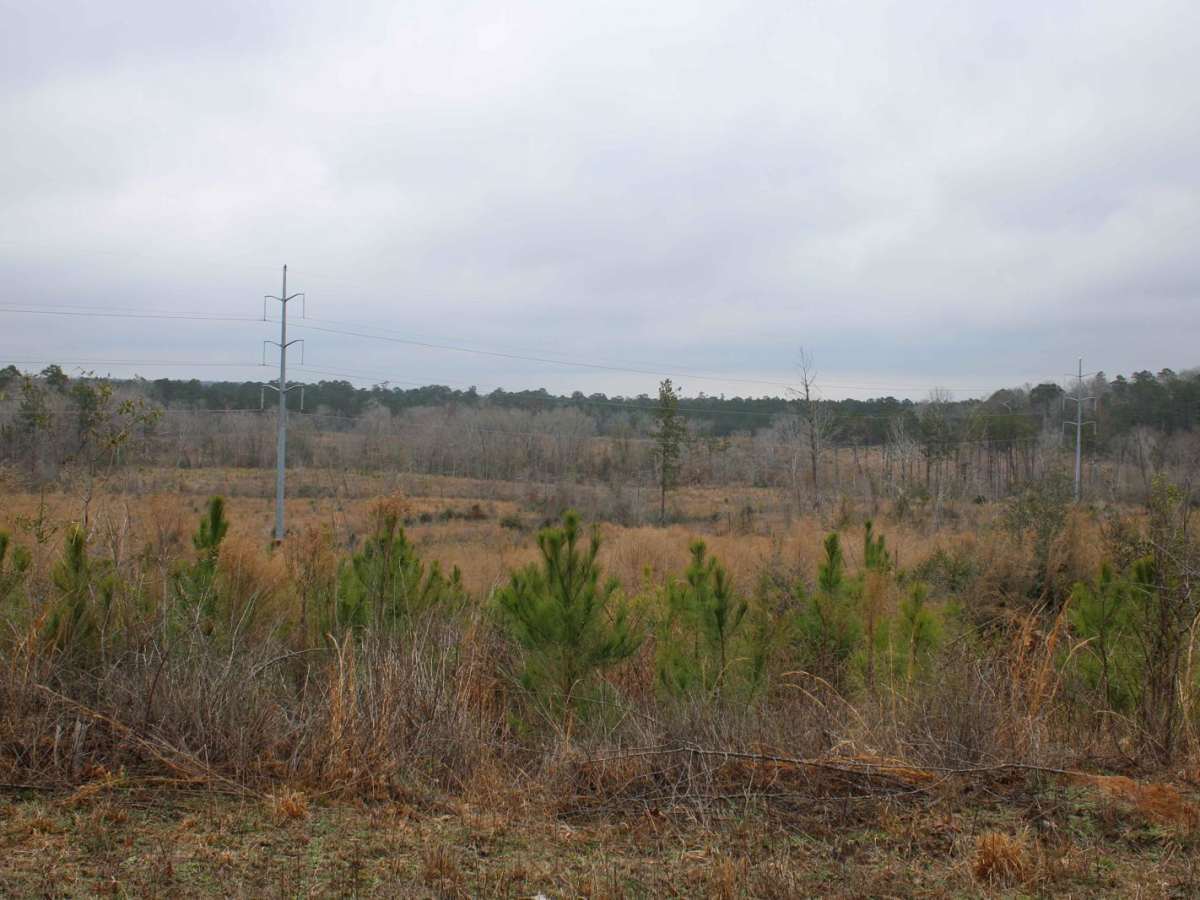Black Mountain photo 6