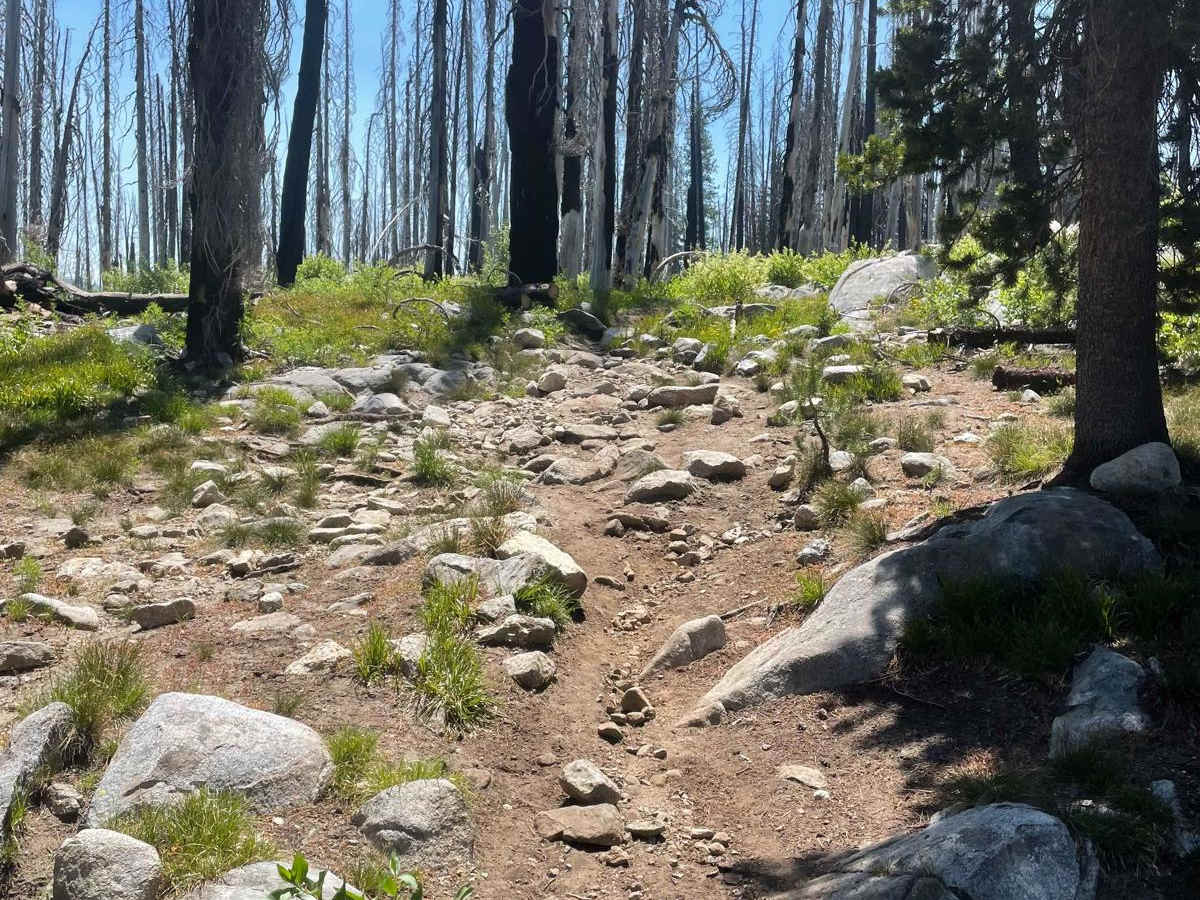 Grass Mountain Singletrack photo 5
