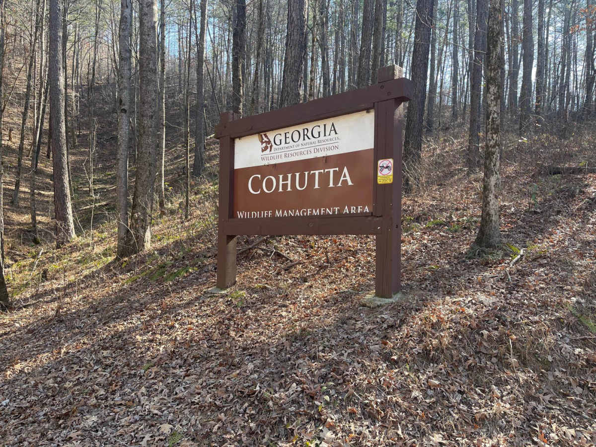 FS-68 Lake Conasauga trail photo