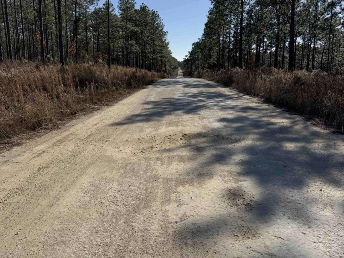 Fort Gates Ferry Road - ONF 29 photo 2