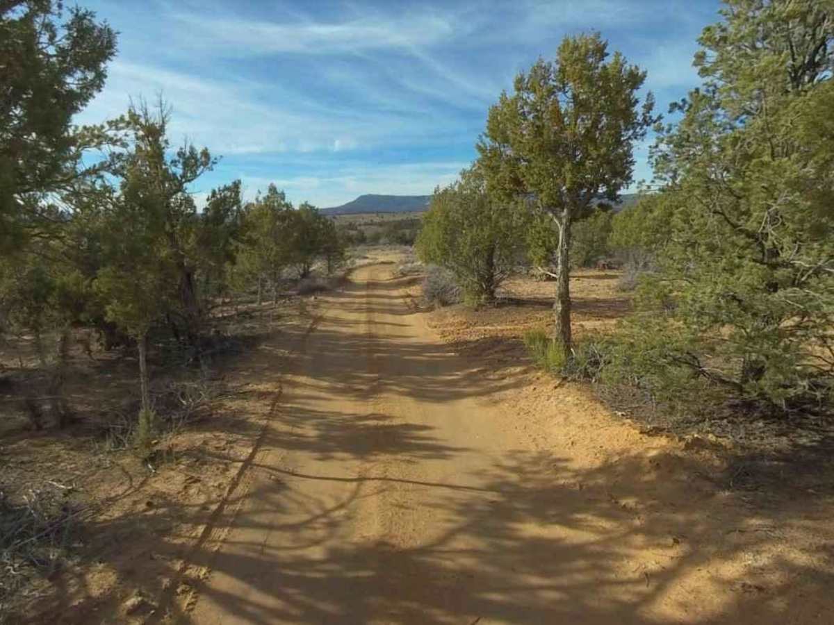 Twin Hollow BLM 98 photo 4