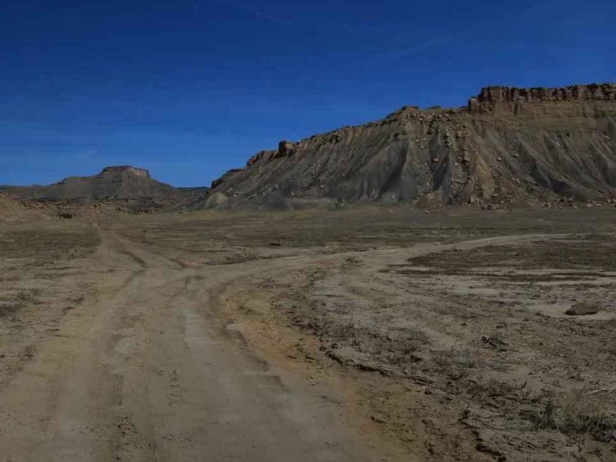 Cresent Wash Petroglyphs photo 4