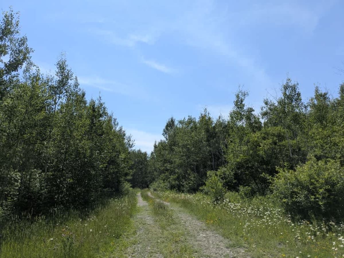 Mooseline Spur E trail photo