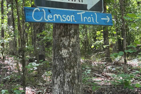 Clemson/Tornado Cutoff