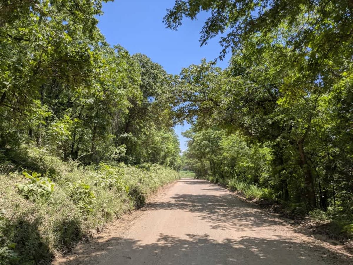 North 387 photo 6