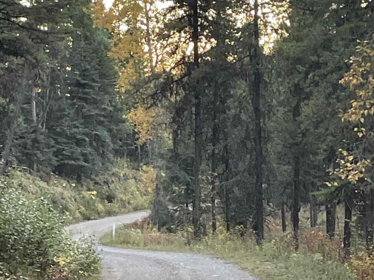 Jocko Canyon Road trail photo