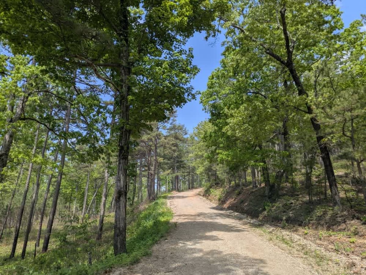 1101 Road trail photo
