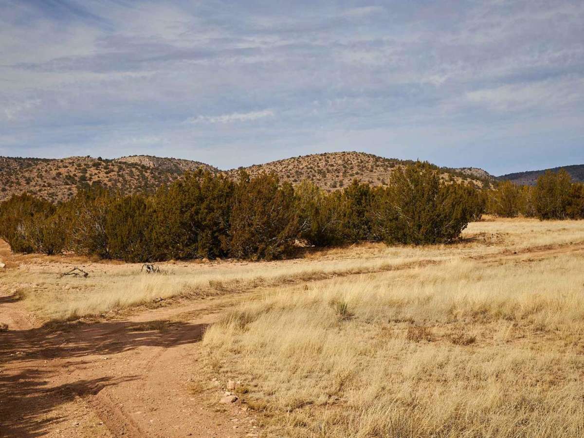 Atkins Cutoff trail photo
