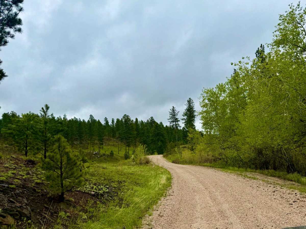 Battle Axe Road photo 5