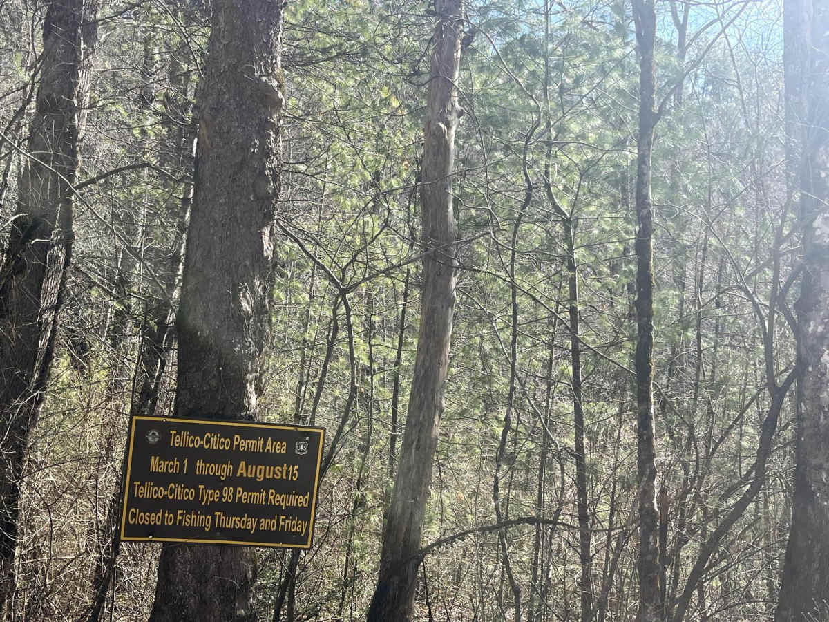 Citico Creek South trail photo