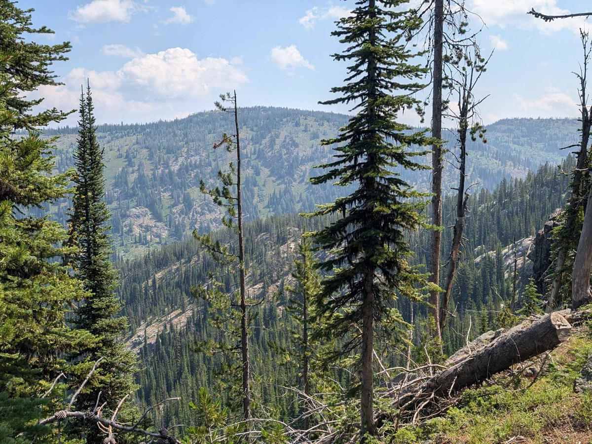 Carey Dome Lookout photo 5