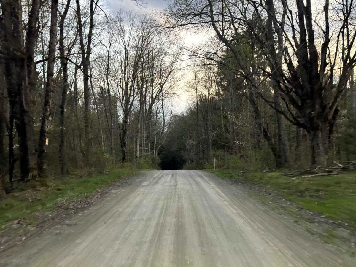 Mill Road photo 4