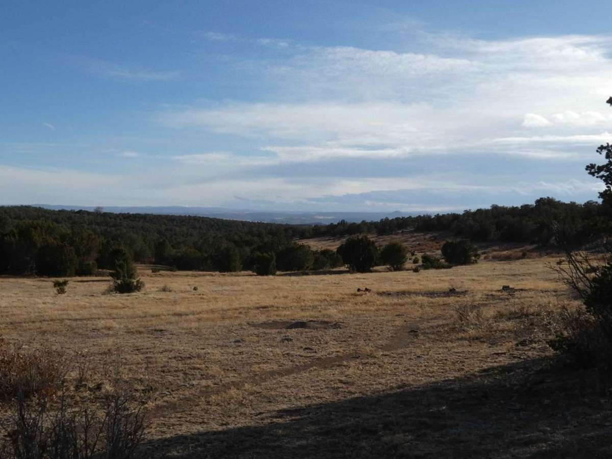 West-End Slope photo 5