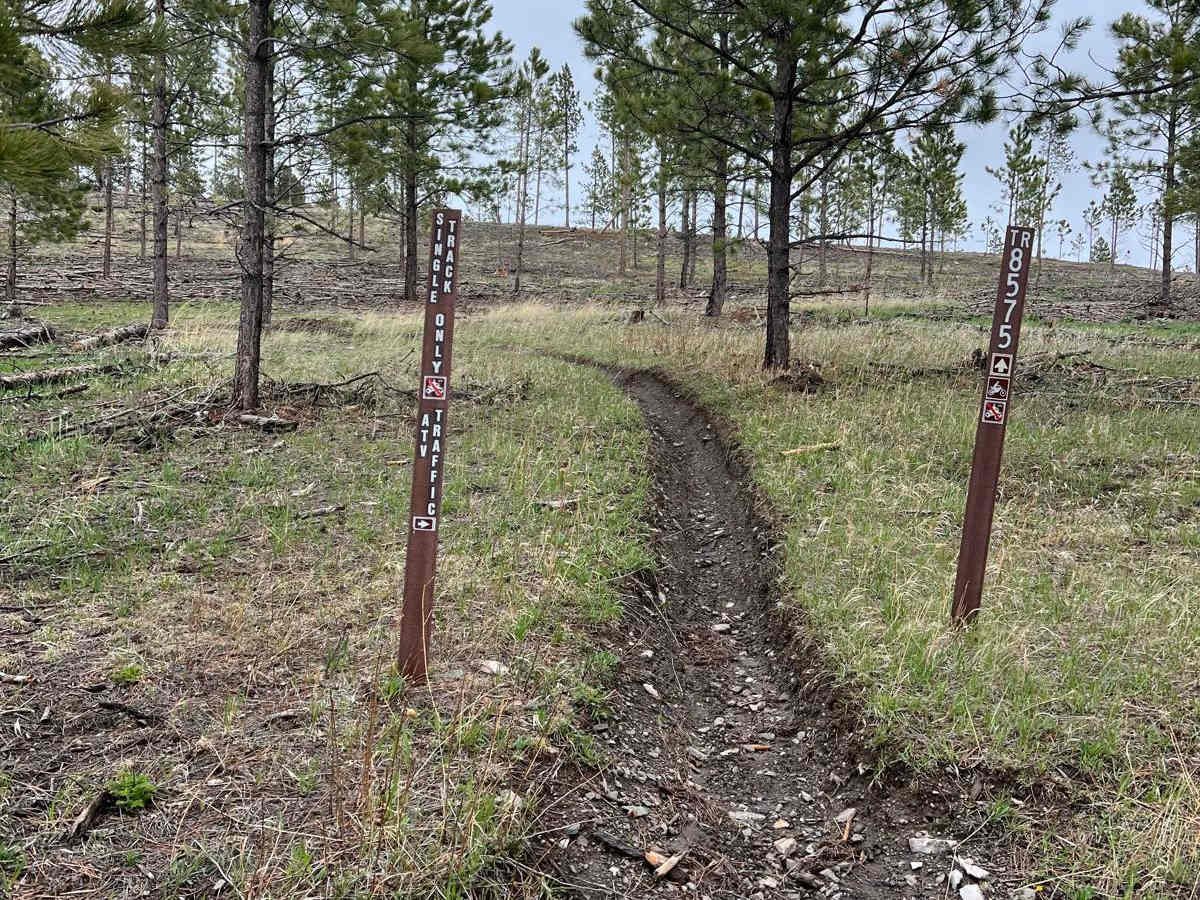 Benchmark Trail photo 3