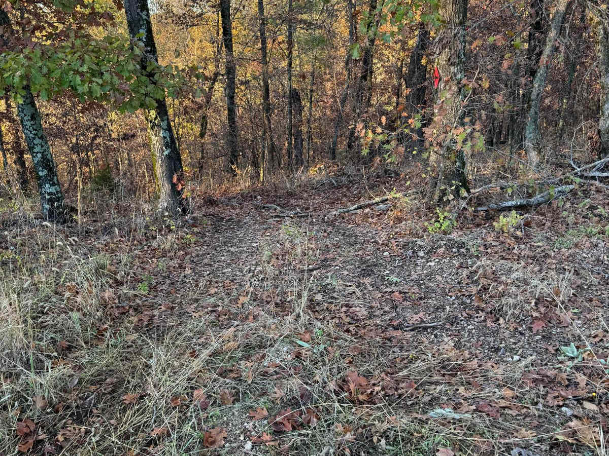 Green 115 trail photo