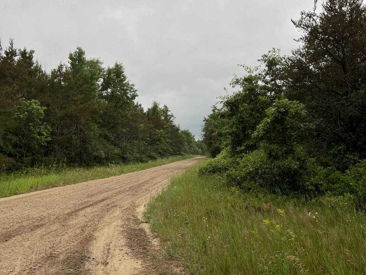Eastwood Trail photo 3