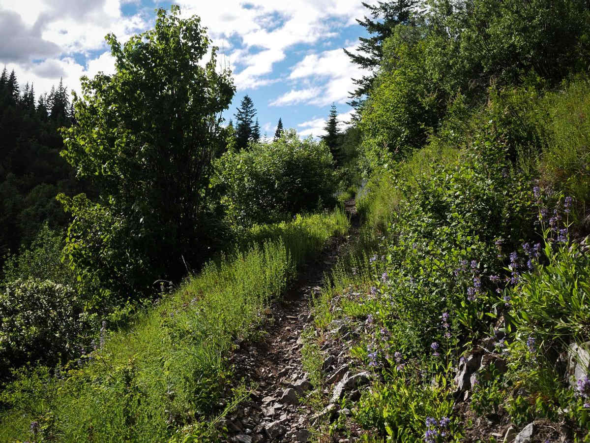 Big Creek photo 3